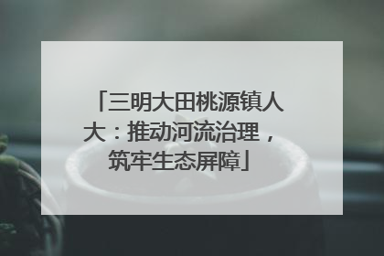 三明大田桃源镇人大：推动河流治理，筑牢生态屏障