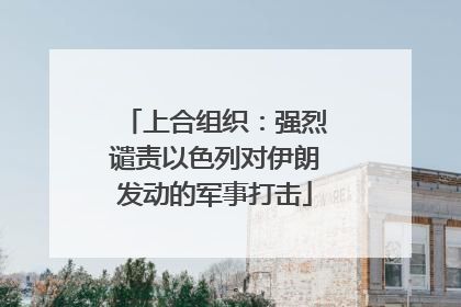 上合组织：强烈谴责以色列对伊朗发动的军事打击