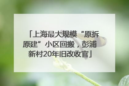 上海最大规模“原拆原建”小区回搬，彭浦新村20年旧改收官