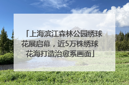 上海滨江森林公园绣球花展启幕，近5万株绣球花海打造治愈系画面