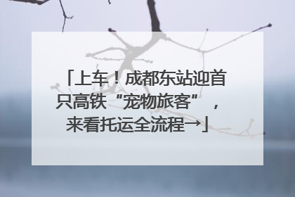 上车！成都东站迎首只高铁“宠物旅客”，来看托运全流程→