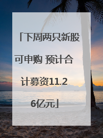下周两只新股可申购 预计合计募资11.26亿元