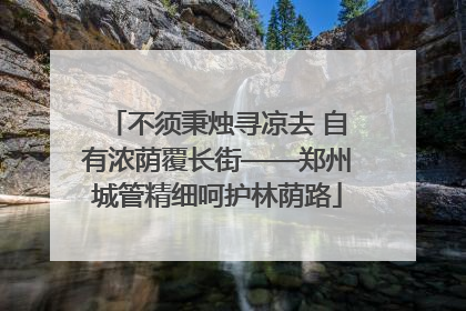 不须秉烛寻凉去 自有浓荫覆长街——郑州城管精细呵护林荫路