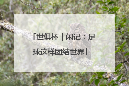 世俱杯｜闲记：足球这样团结世界