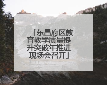 东昌府区教育教学质量提升突破年推进现场会召开