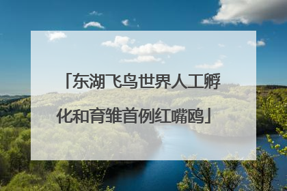 东湖飞鸟世界人工孵化和育雏首例红嘴鸥