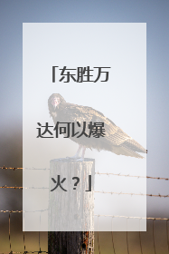 东胜万达何以爆火？