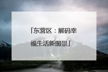 东营区：解码幸福生活新图景