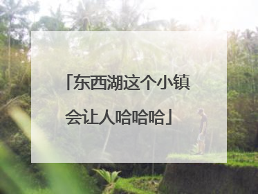 东西湖这个小镇会让人哈哈哈