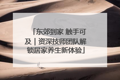 东郊到家 触手可及｜资深技师团队解锁居家养生新体验