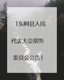 东阿县人民代表大会常务委员会公告
