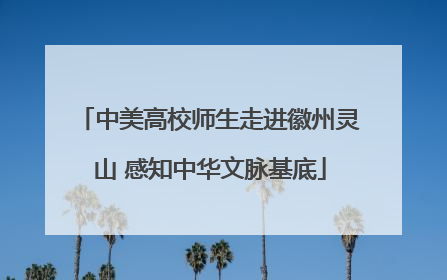 中美高校师生走进徽州灵山 感知中华文脉基底