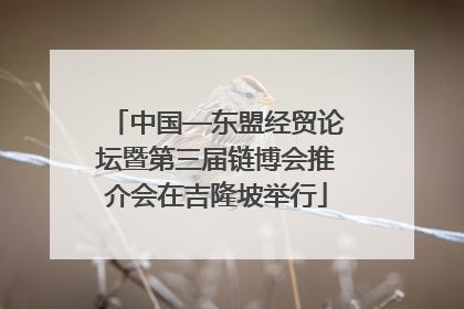 中国—东盟经贸论坛暨第三届链博会推介会在吉隆坡举行
