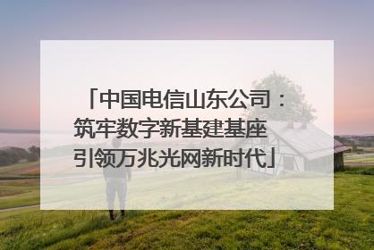 中国电信山东公司：筑牢数字新基建基座 引领万兆光网新时代