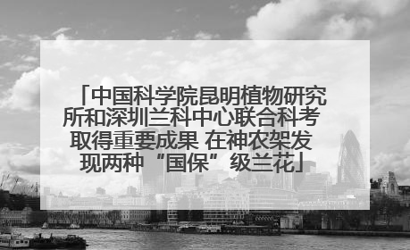 中国科学院昆明植物研究所和深圳兰科中心联合科考取得重要成果 在神农架发现两种“国保”级兰花