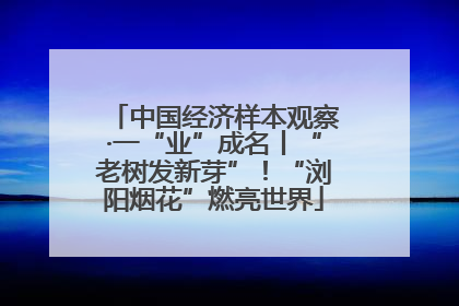 中国经济样本观察·一“业”成名丨“老树发新芽”！“浏阳烟花”燃亮世界