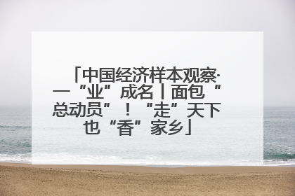 中国经济样本观察·一“业”成名丨面包“总动员”！“走”天下也“香”家乡