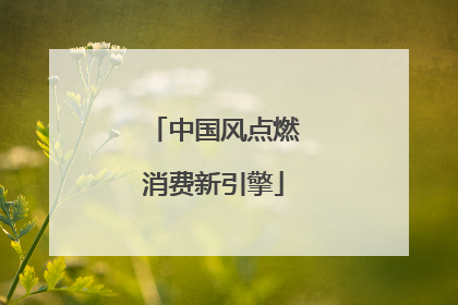 中国风点燃消费新引擎