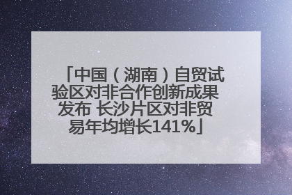 中国（湖南）自贸试验区对非合作创新成果发布 长沙片区对非贸易年均增长141%