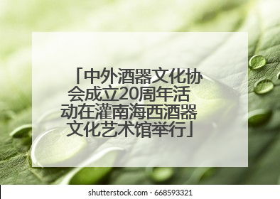 中外酒器文化协会成立20周年活动在灌南海西酒器文化艺术馆举行