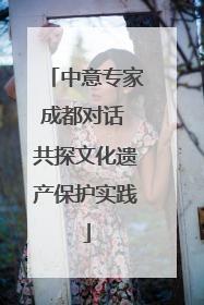 中意专家成都对话 共探文化遗产保护实践