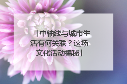 中轴线与城市生活有何关联？这场文化活动揭秘