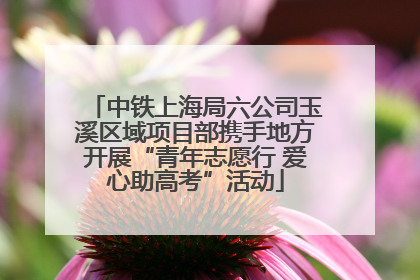 中铁上海局六公司玉溪区域项目部携手地方开展“青年志愿行 爱心助高考”活动