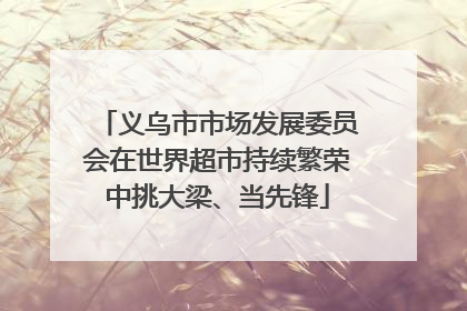 义乌市市场发展委员会在世界超市持续繁荣中挑大梁、当先锋
