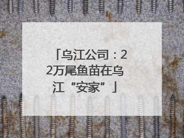 乌江公司：22万尾鱼苗在乌江“安家”