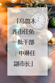 乌鲁木齐市任免一批干部：申琳任副市长