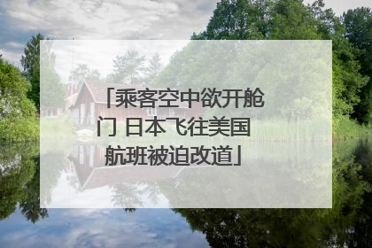 乘客空中欲开舱门 日本飞往美国航班被迫改道
