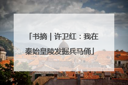 书摘｜许卫红：我在秦始皇陵发掘兵马俑