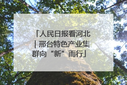 人民日报看河北｜邢台特色产业集群向“新”而行