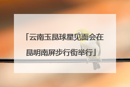 云南玉昆球星见面会在昆明南屏步行街举行