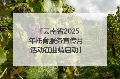 云南省2025年托育服务宣传月活动在曲靖启动
