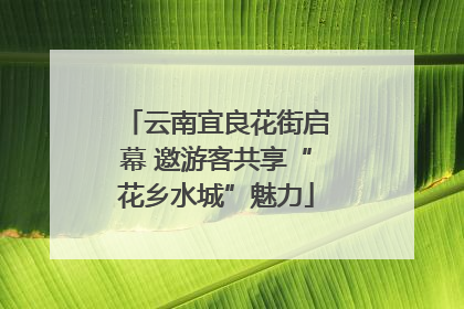 云南宜良花街启幕 邀游客共享“花乡水城”魅力