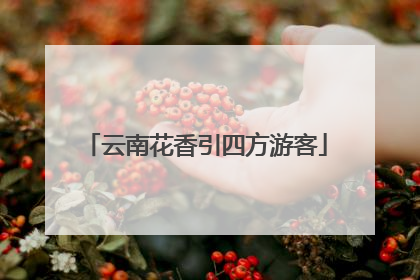 云南花香引四方游客