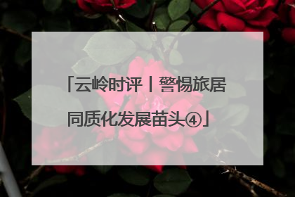 云岭时评丨警惕旅居同质化发展苗头④