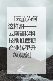 云蔗为何这样甜——云南省以科技助推蔗糖产业转型升级观察