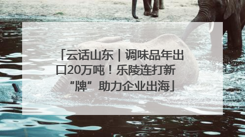 云话山东｜调味品年出口20万吨！乐陵连打新“牌”助力企业出海