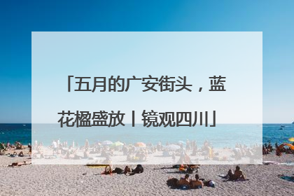 五月的广安街头，蓝花楹盛放丨镜观四川