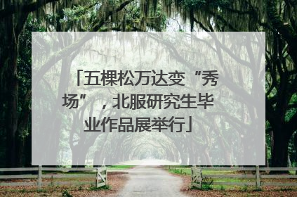 五棵松万达变“秀场”，北服研究生毕业作品展举行