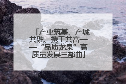 产业筑基、产城共融、携手共富——“品质龙泉”高质量发展三部曲