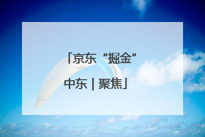 京东“掘金”中东｜聚焦