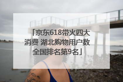 京东618带火四大消费 湖北购物用户数全国排名第9名
