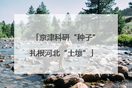 京津科研“种子”扎根河北“土壤”