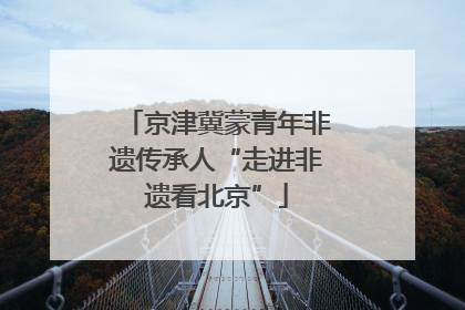 京津冀蒙青年非遗传承人“走进非遗看北京”