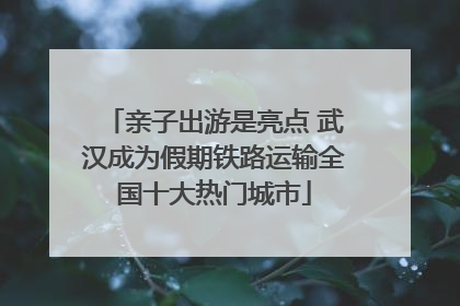 亲子出游是亮点 武汉成为假期铁路运输全国十大热门城市