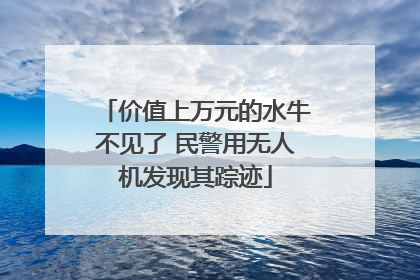 价值上万元的水牛不见了 民警用无人机发现其踪迹
