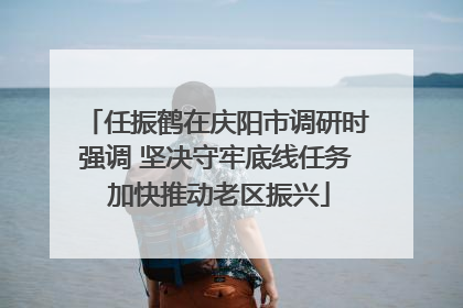 任振鹤在庆阳市调研时强调 坚决守牢底线任务 加快推动老区振兴